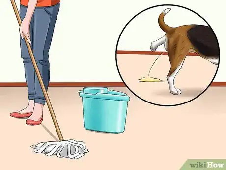 Imagen titulada Use Puppy Pads and Outdoor Potty Training Together Step 7