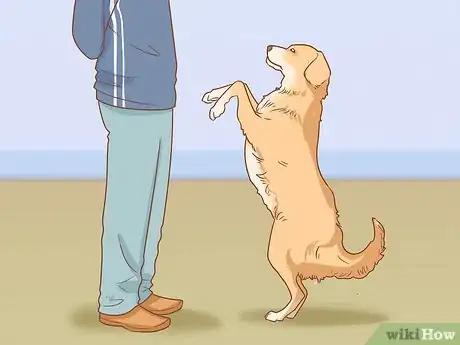 Imagen titulada Teach Your Dog to Dance Step 5