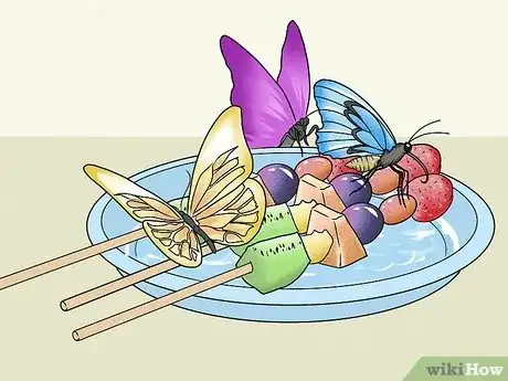 Imagen titulada Make a Butterfly Feeder Step 14