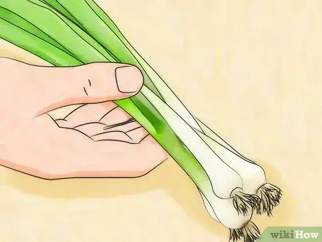 Imagen titulada Grow Green Onions Step 7