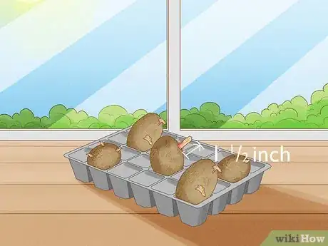 Imagen titulada Plant Potatoes Step 5