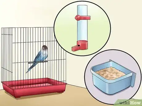 Imagen titulada Gain Your Parakeet's Trust Step 2