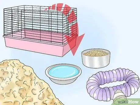 Imagen titulada Get Rid of Mites on Hamsters Step 4