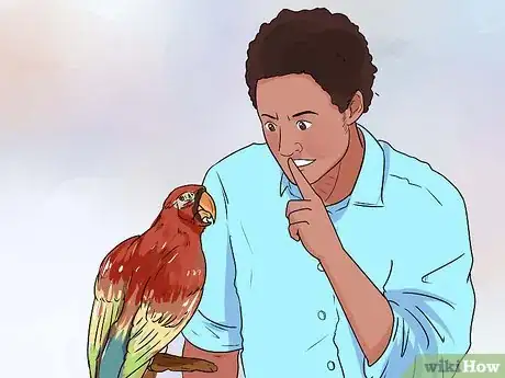 Imagen titulada Train Parrots to Make Less Noise Step 5