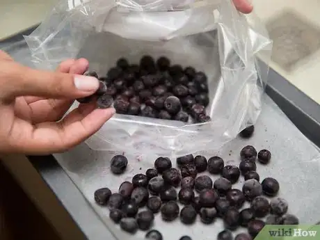 Imagen titulada Store Blueberries Step 11