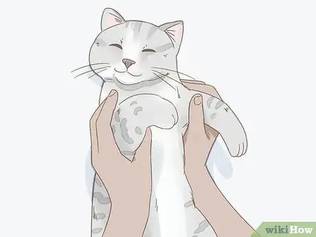 Imagen titulada Get Your Cat to Purr Step 4