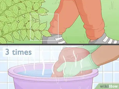 Imagen titulada Get Rid of Poison Ivy Plants Step 2