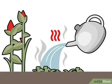 Imagen titulada Kill Grass Invading a Flower Bed Step 16