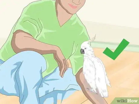 Imagen titulada Deal with an Aggressive Cockatoo Step 4