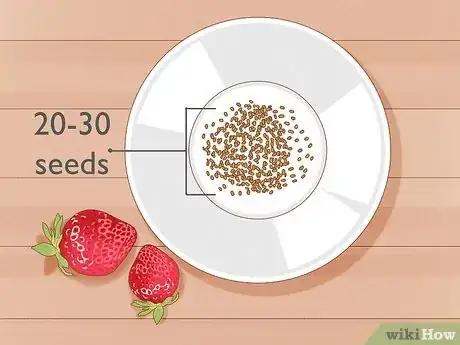 Imagen titulada Plant Strawberries Indoors Step 3