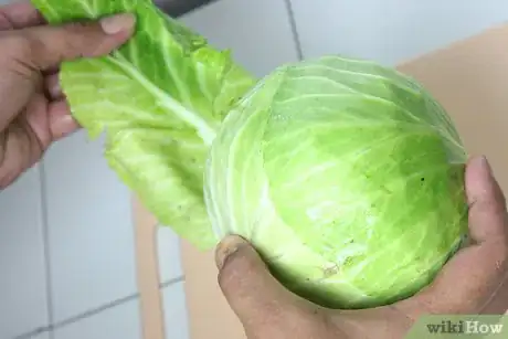 Imagen titulada Boil Cabbage Step 5