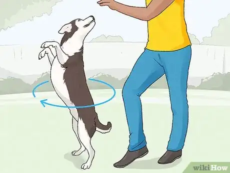 Imagen titulada Teach Your Dog to Dance Step 8