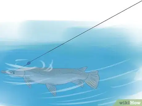 Imagen titulada Fish for Alligator Gar Step 11