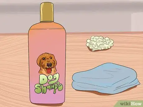 Imagen titulada Bathe a Pregnant Dog Step 3