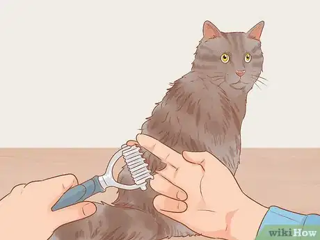 Imagen titulada Shave a Matted Cat Step 3