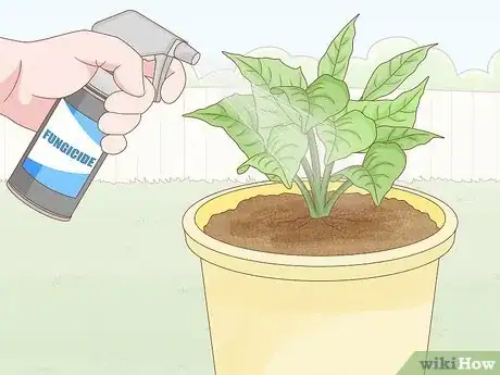 Imagen titulada Get Rid of Mold on Houseplants Step 9