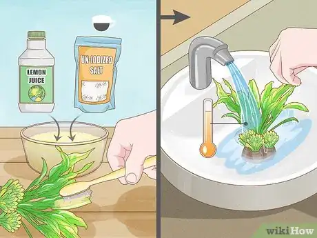 Imagen titulada Clean Fake Plants Step 13