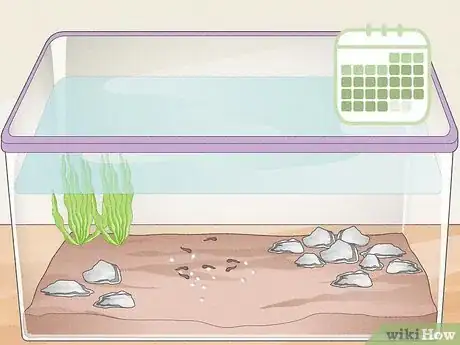 Imagen titulada Care for Frog Eggs Step 10