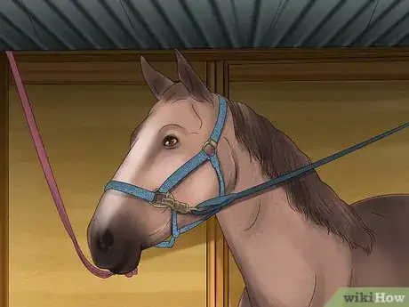 Imagen titulada Tie up a Horse Step 11