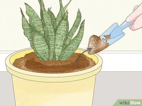 Imagen titulada Get Rid of Mold on Houseplants Step 1