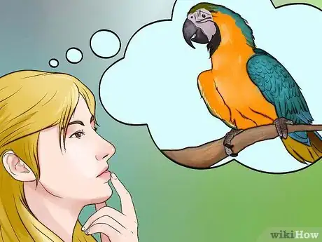 Imagen titulada Decide if a Parrot Is Right for You Step 4