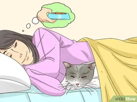 Imagen titulada Get Your Cat to Sleep With You Step 7