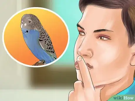 Imagen titulada Know if a Parakeet Is Right for You Step 1