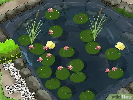 Imagen titulada Make a Pond Step 15