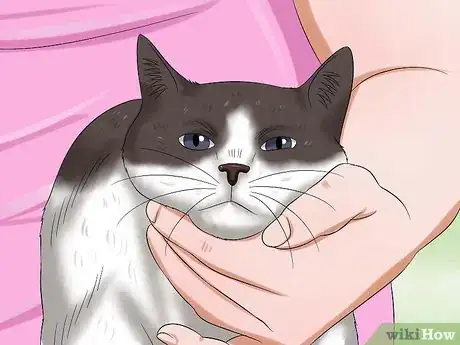 Imagen titulada Give Your Cat Eye Drops Step 3