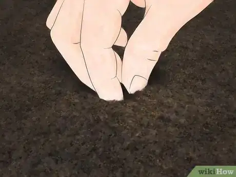 Imagen titulada Germinate Maple Tree Seeds Step 15