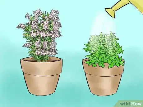 Imagen titulada Grow Herbs Indoors Under Lights Step 10