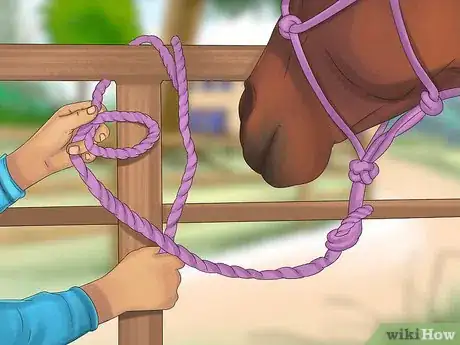 Imagen titulada Tie up a Horse Step 14