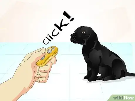 Imagen titulada Train a Naughty Labrador Step 10