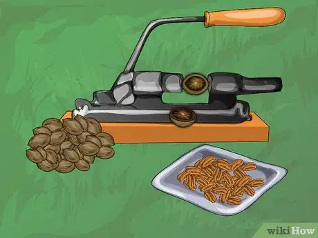 Imagen titulada Harvest Pecans Step 11