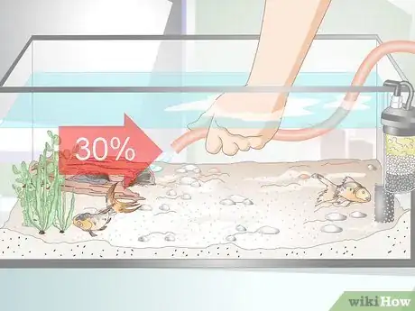 Imagen titulada Lower Ammonia Levels in a Fish Tank if They Are Not Very High Step 1