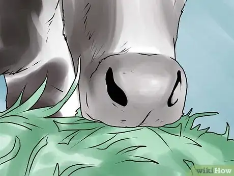 Imagen titulada Keep a Milking Cow Step 4