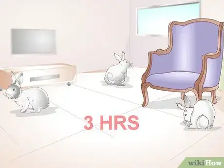 Imagen titulada Exercise Your Rabbit Step 8