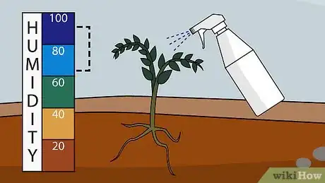 Imagen titulada Grow a Tomato Plant Step 18