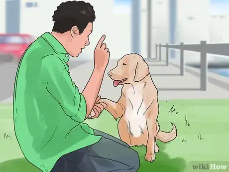 Imagen titulada Teach Your Dog to Shake Hands Step 10