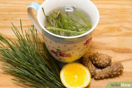 Imagen titulada Make Pine Needle Tea Final