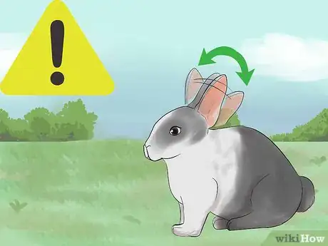Imagen titulada Read Bunny Ear Signals Step 5