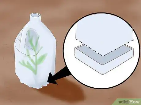 Imagen titulada Reuse Plastic Bottles for Your Garden Step 9