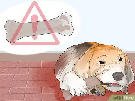 Imagen titulada Avoid Foods Dangerous for Your Dog Step 13