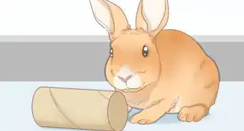 armar una jaula para conejos