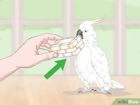 Imagen titulada Deal with an Aggressive Cockatoo Step 7