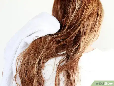 Imagen titulada Make Hair Dry Faster Without a Blow Dryer Step 5