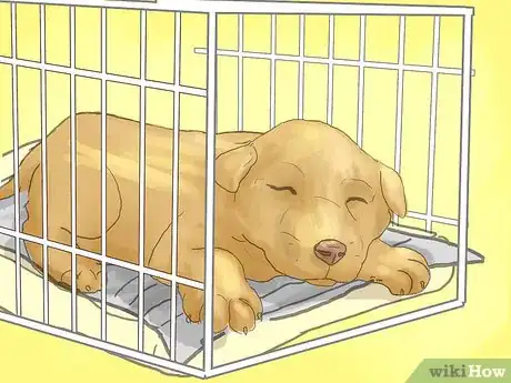 Imagen titulada Make Your Dog Stop Sleeping in Your Bed Step 5