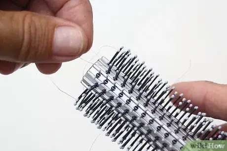 Imagen titulada Clean Hairbrushes and Combs Step 1