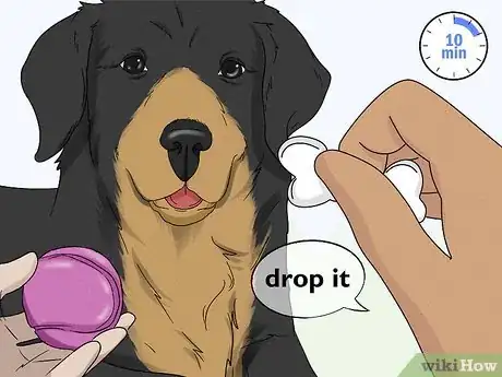 Imagen titulada Teach Your Dog to Drop It Step 10