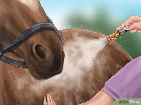 Imagen titulada Teach Your Horse to Lie Down Step 2